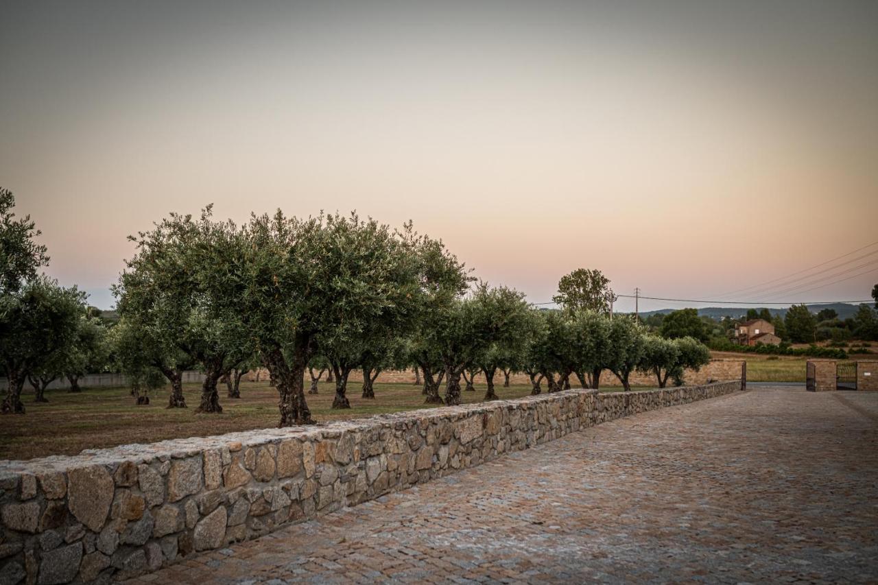 Отель Quinta Das Oliveiras Turismo Rural Фундан Экстерьер фото